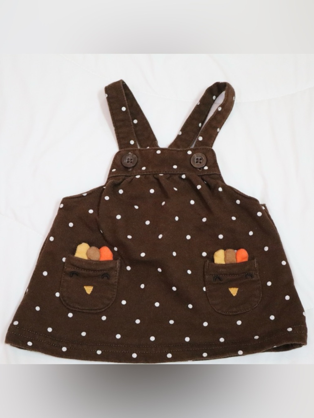 Carter's thanksgiving dress